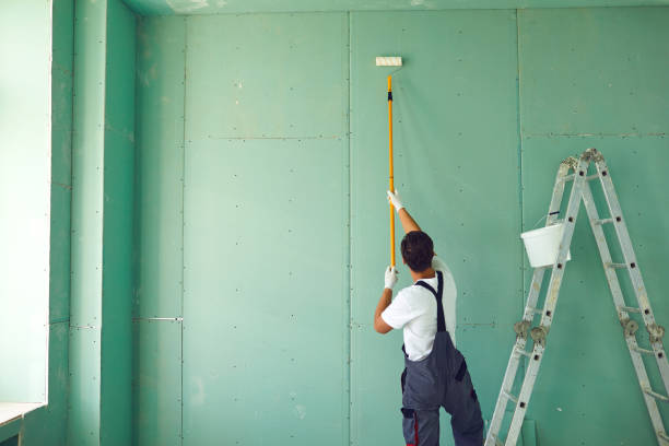 Best Mold Removal for HVAC Installations  in Hilltop, MN