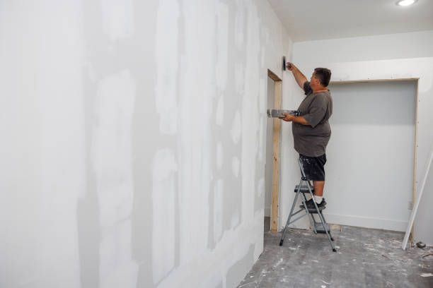 Best Mold Odor Removal Services  in Hilltop, MN