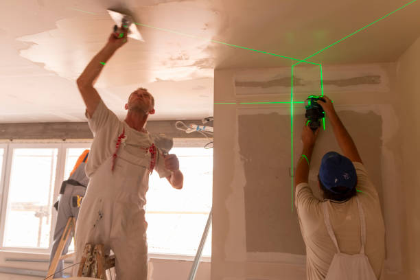 Best Attic Mold Removal  in Hilltop, MN