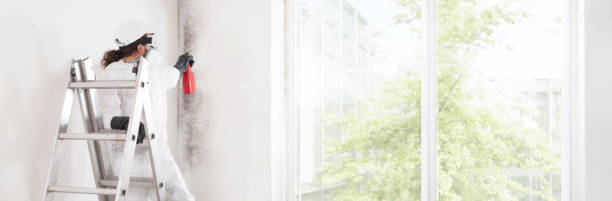 Dehumidification Services in Hilltop, MN