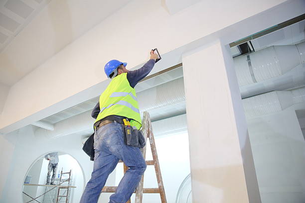 Best Emergency Mold Remediation  in Hilltop, MN
