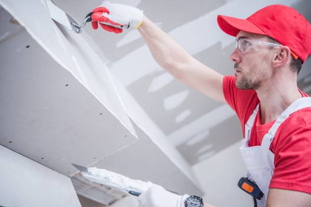 Best Mold Documentation for Insurance Claims  in Hilltop, MN