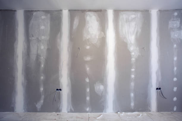 Best Mold-Related Health Consultation  in Hilltop, MN