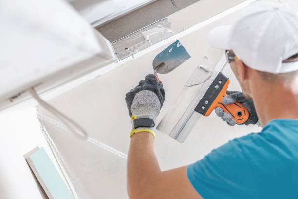 Best Air Quality Testing for Mold Spores  in Hilltop, MN